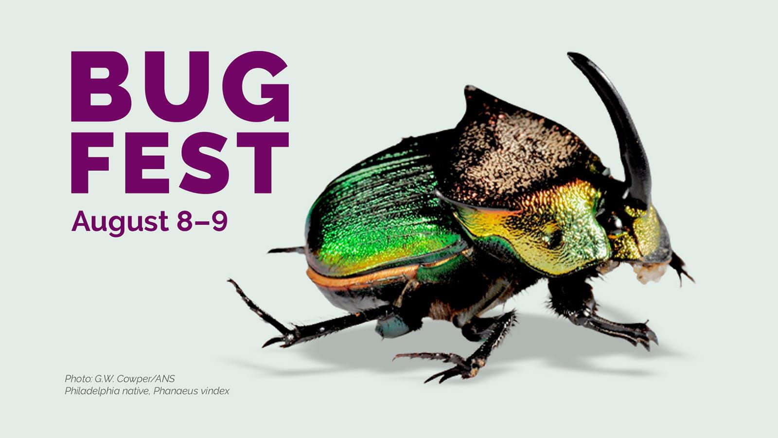 Bugfest is at the Academy of Natural Sciences August 8 through 9