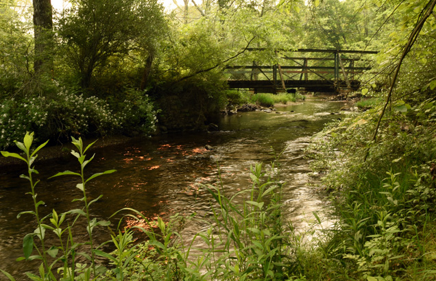 A stream surrounded by green foliage on both sides with a bridge connecting them.