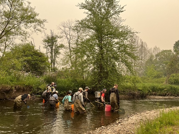 Eight Academy scientists carrying buckets while walking in a stream looking for specimens.