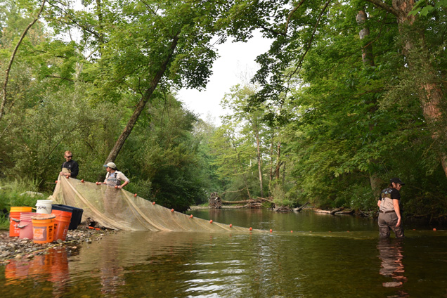 Three Academy scientists spreading a net out over a river.