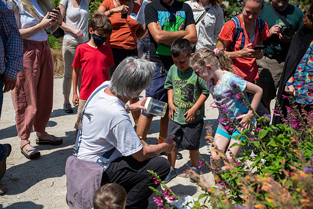 An Academy Entomologist shows children an insect that they caught in a jar.