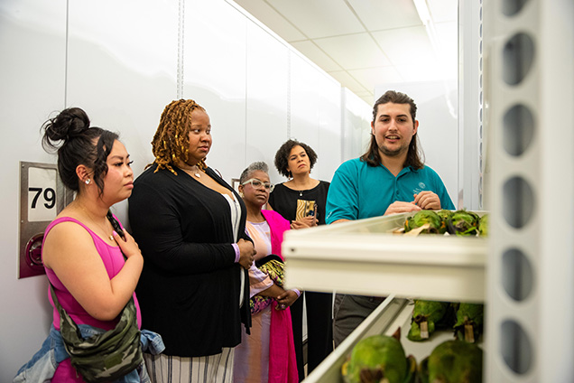 An Academy Ornithologist showing specimens in a drawer to guests during an evening event.