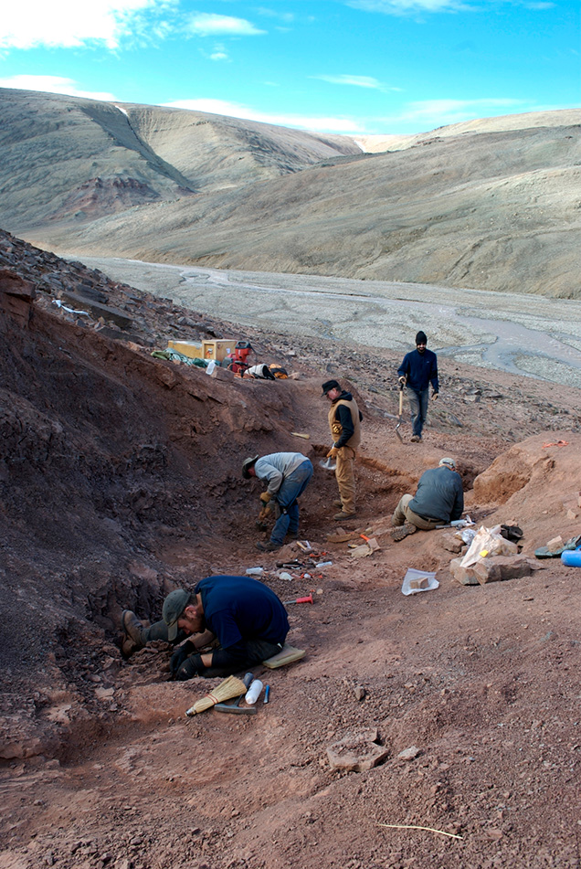 Tiktaalik fossil site in Nunavut, Canadian Arctic.