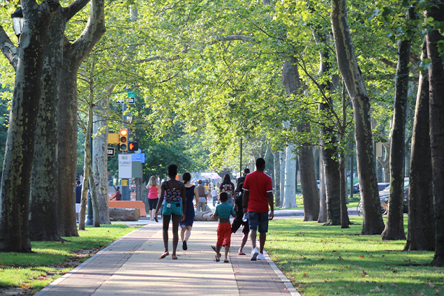 A family walking down the parkway on a street surrounded by trees.