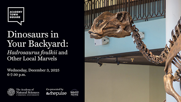 Dinos in your backyard, hadrosaurus foulkii and other local marvels.