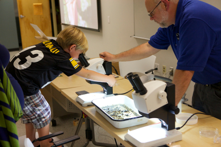 Child looks through Microscope in Entomology Dept