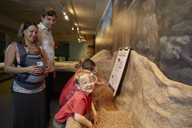Parents and kids enjoy hands-on exhibits