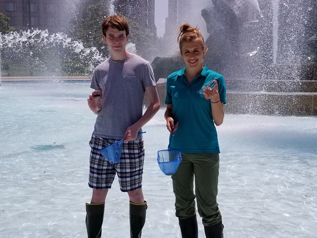 Collecting samples in logan square