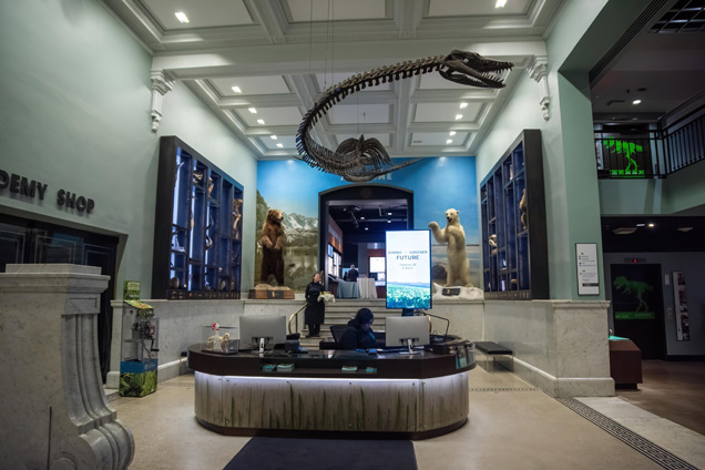 The main entrance of the Academy with an Elasmosaurus hanging above a desk.